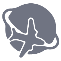 simulation